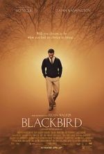 Watch Blackbird Sflix