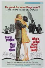 Watch Amigo Sflix