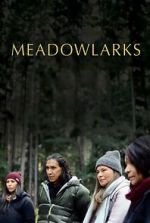 Watch Meadowlarks Sflix