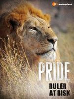 Watch Pride - Ruler\'s at Risk Sflix