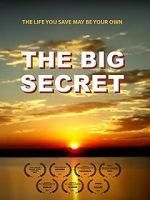 Watch The Big Secret Sflix