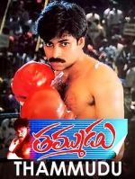 Watch Thammudu Sflix