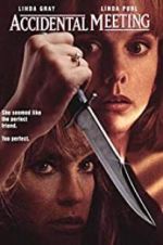 Watch Accidental Meeting Sflix