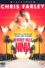 Watch Beverly Hills Ninja Sflix
