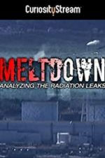Watch Meltdown: Analyzing the Radiation Leaks Sflix