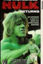 Watch The Incredible Hulk Returns Sflix