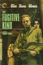 Watch The Fugitive Kind Sflix