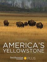 Watch America\'s Yellowstone Sflix