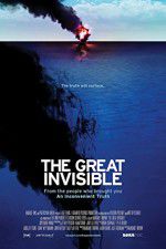 Watch The Great Invisible Sflix