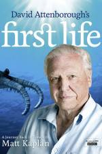 Watch First Life Sflix