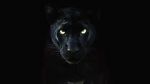 Watch The Real Black Panther (Short 2020) Sflix