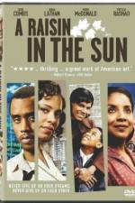 Watch A Raisin in the Sun Sflix