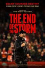 Watch The End of the Storm Sflix