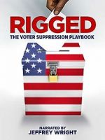 Watch Rigged: The Voter Suppression Playbook Sflix