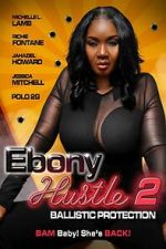 Watch Ebony Hustle 2: Ballistic Protection Sflix