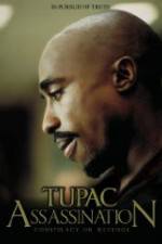 Watch Assassination: Conspiracy or Revenge Sflix