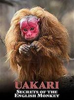 Watch Uakari: Secrets of the English Monkey Sflix
