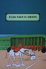 Watch From Nags to Riches Sflix