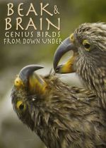 Watch Beak & Brain - Genius Birds from Down Under Sflix