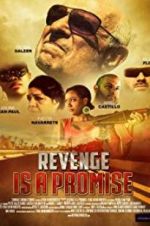 Watch Revenge Is a Promise Sflix