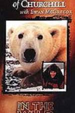 Watch The Polar Bears of Churchill with Ewan McGregor Sflix