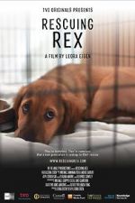 Watch Rescuing Rex Sflix