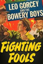 Watch Fighting Fools Sflix
