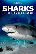Watch Sharks of the Bermuda Triangle (TV Special 2020) Sflix