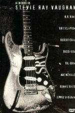 Watch A Tribute to Stevie Ray Vaughan Sflix