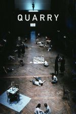 Watch Quarry Sflix