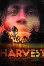 Watch Harvest Sflix