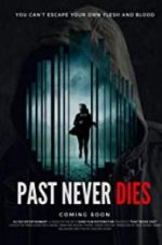 Watch The Past Never Dies Sflix