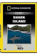 Watch National Geographic: Shark Island Sflix