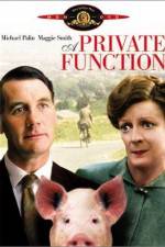 Watch Svinaktiga affärer Sflix