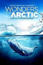 Watch Wonders of the Arctic 3D Sflix