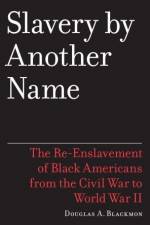 Watch Slavery by Another Name Sflix