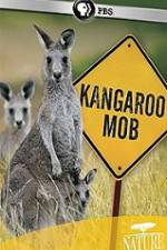 Watch Kangaroo Mob Sflix