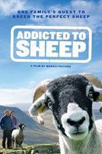 Watch Addicted to Sheep Sflix