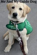 Watch Me And My Guide Dog Sflix