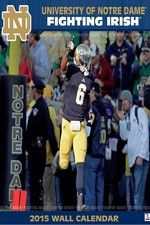 Watch The Fighting Irish Sflix