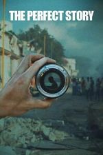 Watch The Perfect Story Sflix