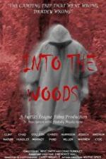 Watch Into the Woods Sflix