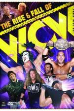 Watch WWE The Rise and Fall of WCW Sflix