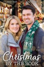 Watch Matchmaker Christmas Sflix