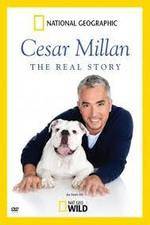 Watch Cesar Millan: The Real Story Sflix