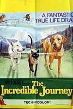 Watch The Incredible Journey Sflix