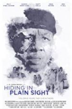 Watch Hiding in Plain Sight Sflix