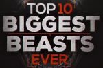 Watch Top 10 Biggest Beasts Ever Sflix