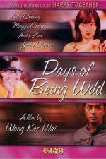 Watch Days of Being Wild Sflix