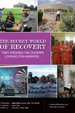 Watch The Secret World of Recovery Sflix